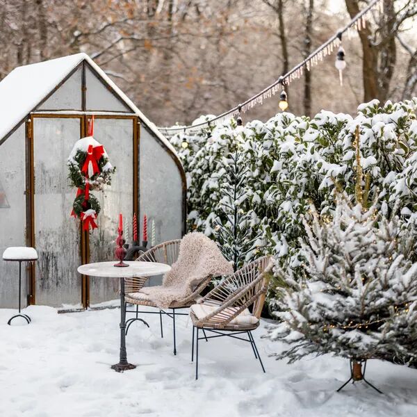 Nouvelle année et nouveau jardin