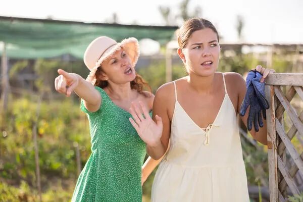 Succession le jardin sans les tensions 