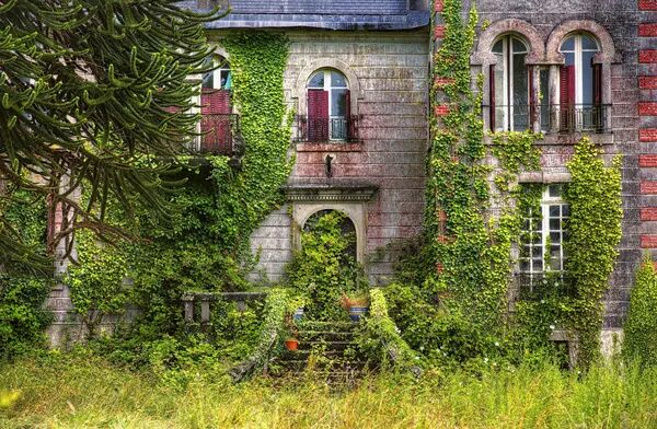 Hériter d’une maison pas d’une jungle