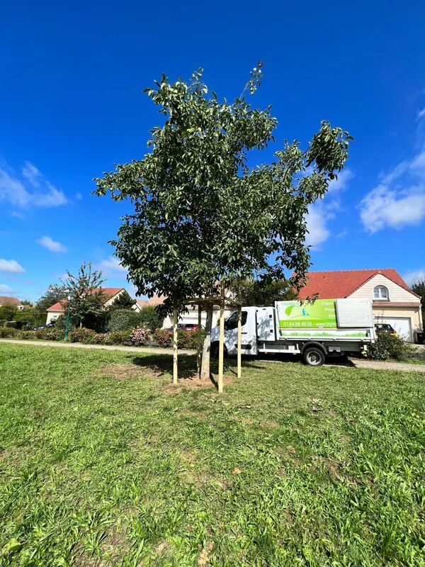 Prestation d'entretien de Jardin