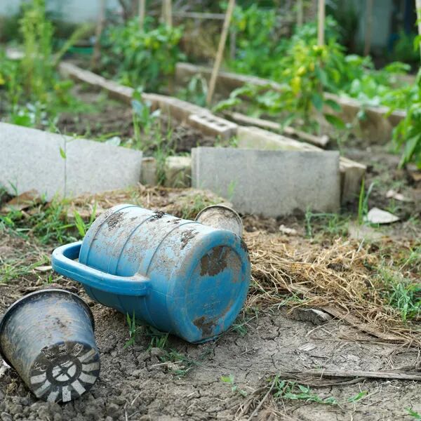 Les surprises d'un débroussaillage 